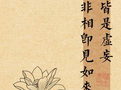 -玉滋補