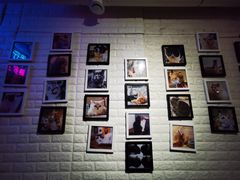 -平行世界·猫咖(首经贸店)