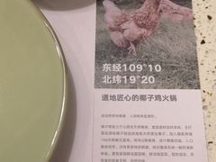 -椰子营·椰子鸡火锅(万象里店)