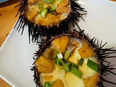 -海胆小馆(东北水饺·春柳店)