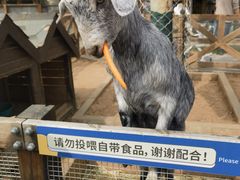 -静之湖度假区