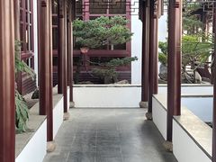 -苏州吴宫泛太平洋酒店