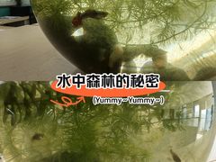 -苏州现代传媒广场商业