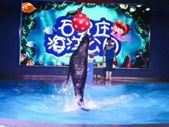 -石家庄海洋公园
