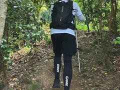 -素山寺森林公园