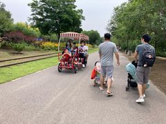 -永定河休闲森林公园