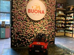 -百好乐宠物友好餐厅(朝外大街店)