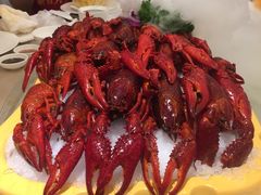-新日月育才大酒店-中餐厅(环城北路店)