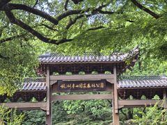 -杭州半山国家森林公园