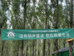 -森林小栈TreeStation露营基地