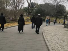 -丰台花园
