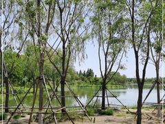 -东郊湿地公园