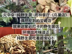 -西双版纳原始森林公园