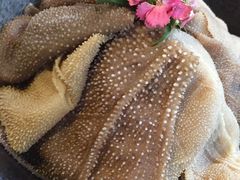 -王家渡火锅(三苏祠店)