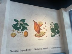 -Buonissimo(佛罗伦萨小镇店)