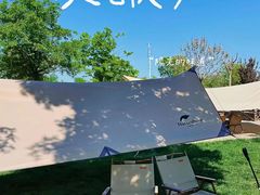 -上海共青森林公园