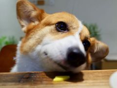 -素咫咖啡CLIFEROSE(新安店)