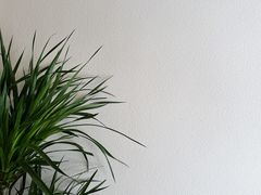-LOTTA COFFEE(安居博文苑店)