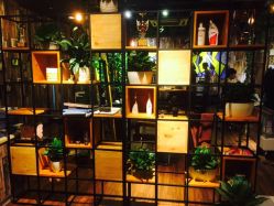 -藤野造型·专业烫染店