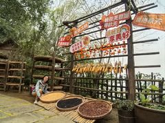 -天目湖山水园