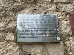 -白水寺森林公园