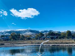 -青海湖国家重点风景名胜区