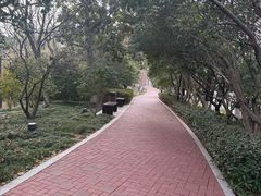 -金鸡湖桃花岛