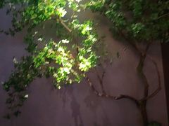 -唐宫足道·SPA·住宿24H会所(木渎店)