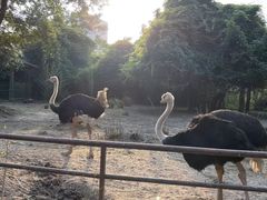 -南昌动物园