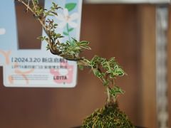 -LOTTA COFFEE(安居博文苑店)