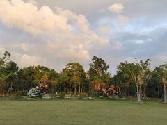 -上海海湾国家森林公园