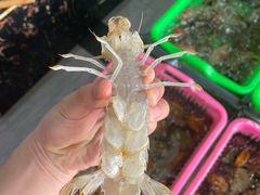 -众味海鲜大排档·活海鲜·潮汕味(南澳店)