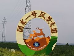 -塞罕坝国家级自然保护区