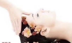 点击看大图 -木北造型