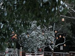 -宁波五龙潭景区