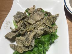 -掂档潮汕牛肉火锅(沈阳万象城店)