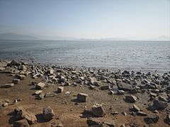 -深圳湾公园(南山区)