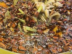 -耗儿鱼蛙蛙叫·老成都火锅(蛇口海昌街店)