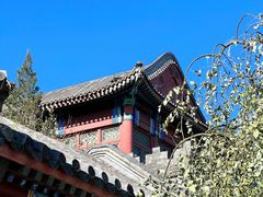 -香山公园