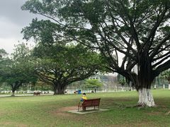 -东莞植物园