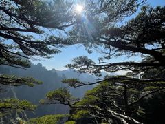 -黄山风景区