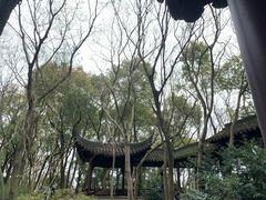 -上海佘山国家森林公园天马山园