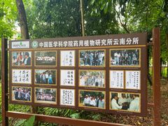 -中国科学院西双版纳热带植物园