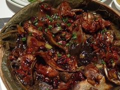 -新兴·金羊座·粤菜点心(乐峰店)