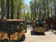 -合肥野生动物园