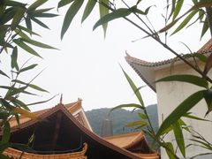 -深圳仙湖植物园