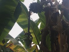 -武汉交通职业学院
