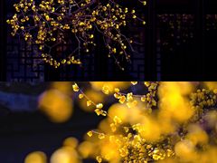 -黎里古镇