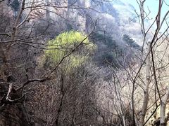 -京东石林峡风景区