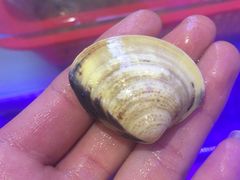 -兄弟爬爬虾(北京路店)